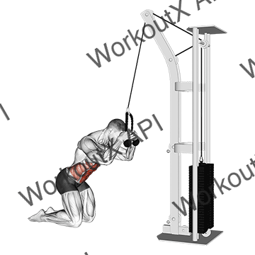 Cable Kneeling Crunch animated GIF