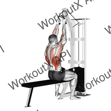 Cable Lateral Pulldown (with Rope Attachment) animated GIF