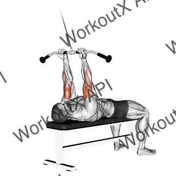 Cable Lying Close-grip Curl animated GIF