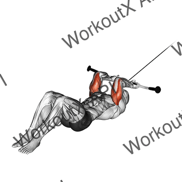 Cable Lying Triceps Extension V. 2 animated GIF