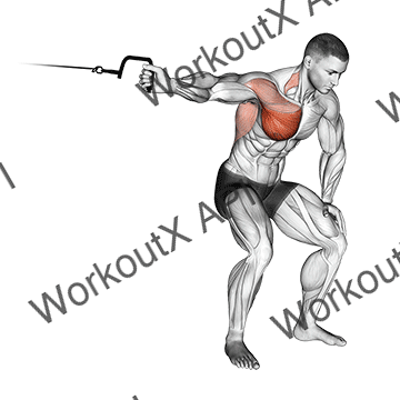 Cable One Arm Lateral Bent-over animated GIF