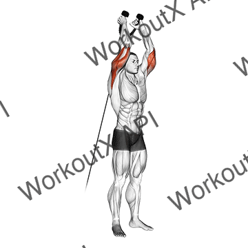 Cable Overhead Triceps Extension (rope Attachment) animated GIF