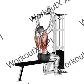 Cable Pulldown animated GIF