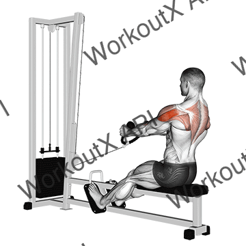 Cable Rear Delt Row (stirrups) animated GIF
