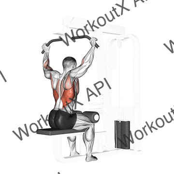 Cable Rear Pulldown animated GIF