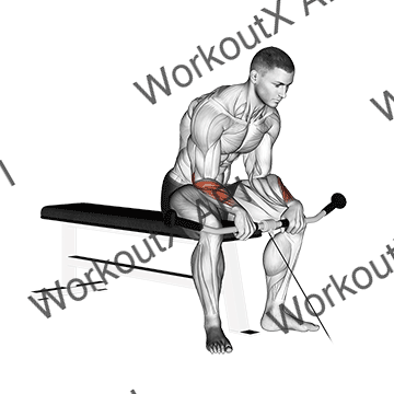 Cable Reverse Wrist Curl animated GIF