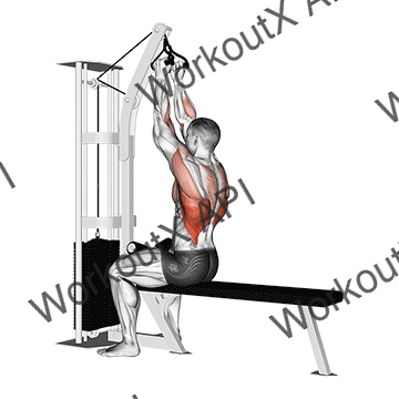 Cable Seated High Row (v-bar) animated GIF