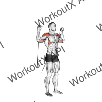 Cable Shoulder Press animated GIF