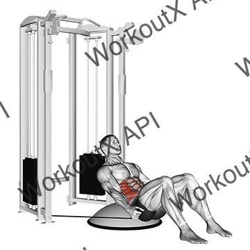 Cable Side Bend Crunch (bosu Ball) animated GIF