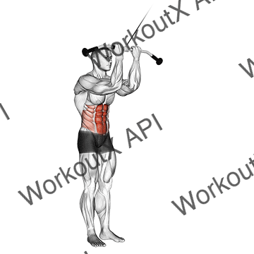 Cable Standing Crunch animated GIF