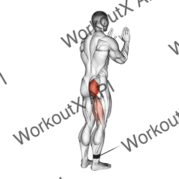 Cable Standing Hip Extension animated GIF