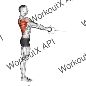 Cable Standing Row (v-bar) animated GIF
