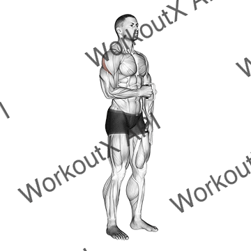 Cable Standing Shoulder External Rotation animated GIF