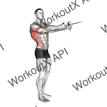 Cable Standing Twist Row (v-bar) animated GIF