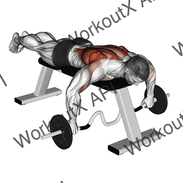Cambered Bar Lying Row animated GIF