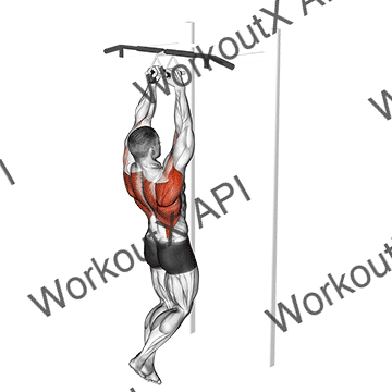 Chin-ups (narrow Parallel Grip) animated GIF