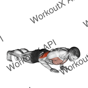 Close-grip Push-up animated GIF