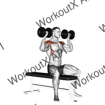 Dumbbell Bench Seated Press animated GIF