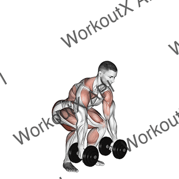 Dumbbell Clean animated GIF