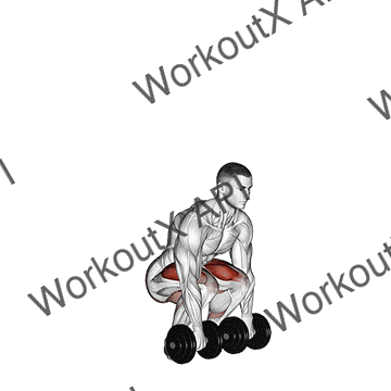 Dumbbell Deadlift animated GIF