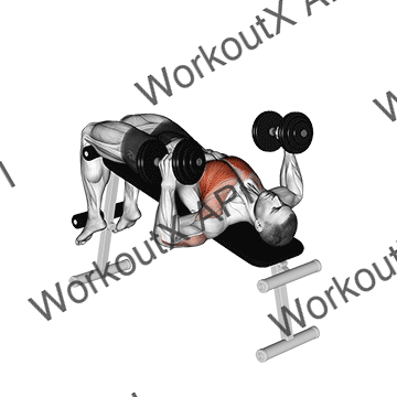 Dumbbell Decline Hammer Press animated GIF