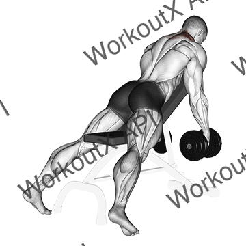 Dumbbell Decline Shrug V. 2 animated GIF
