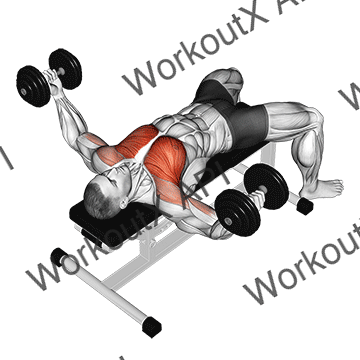 Dumbbell Fly animated GIF