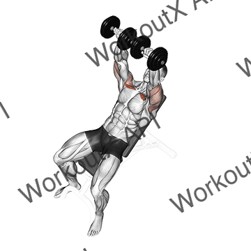 Dumbbell Incline Bench Press animated GIF