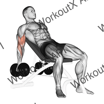 Dumbbell Incline Biceps Curl animated GIF