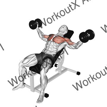 Dumbbell Incline Fly animated GIF