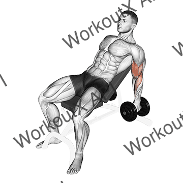 Dumbbell Incline Hammer Curl animated GIF