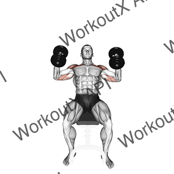 Dumbbell Incline Hammer Press animated GIF