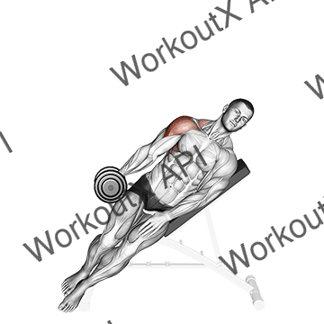Dumbbell Incline One Arm Lateral Raise animated GIF