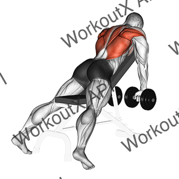 Dumbbell Incline Row animated GIF