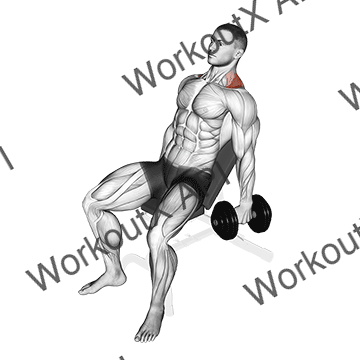 Dumbbell Incline Shrug animated GIF