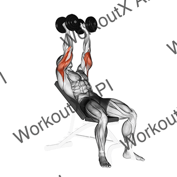 Dumbbell Incline Triceps Extension animated GIF