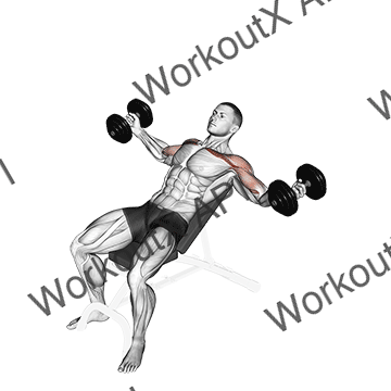 Dumbbell Incline Twisted Flyes animated GIF