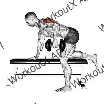 Dumbbell Kickback animated GIF