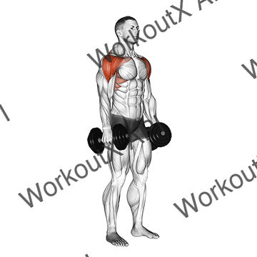 Dumbbell Lateral To Front Raise animated GIF