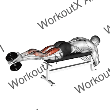 Dumbbell Lying Femoral animated GIF