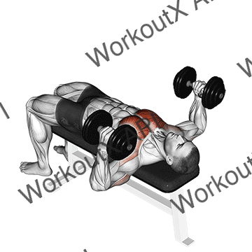 Dumbbell Lying Hammer Press animated GIF