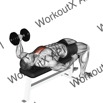 Dumbbell Lying One Arm Press V. 2 animated GIF