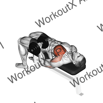 Dumbbell Lying One Arm Press animated GIF