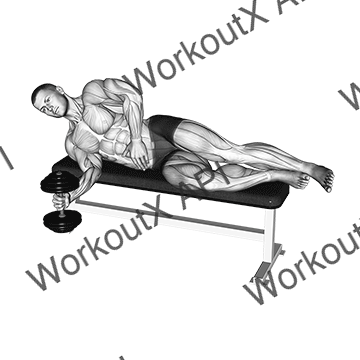 Dumbbell Lying Supination animated GIF
