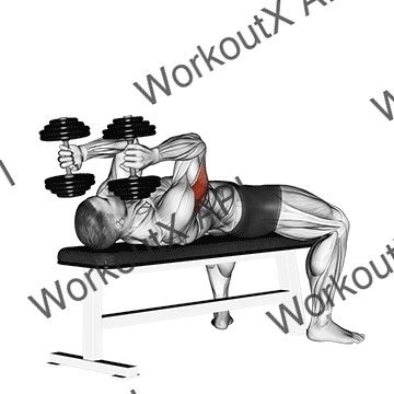 Dumbbell Lying Triceps Extension animated GIF