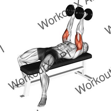 Dumbbell Neutral Grip Bench Press animated GIF