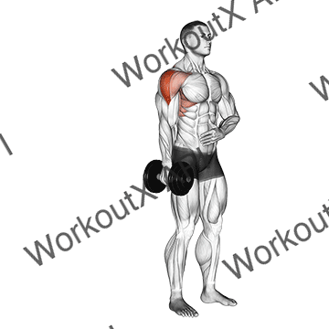 Dumbbell One Arm Lateral Raise animated GIF