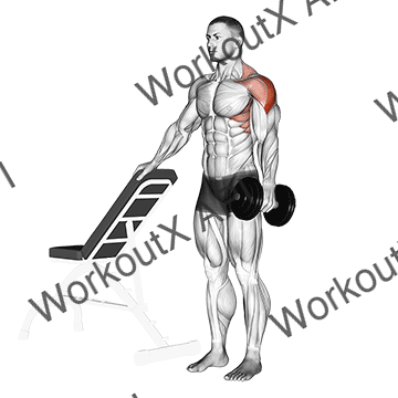 Dumbbell One Arm Lateral Raise With Support animated GIF