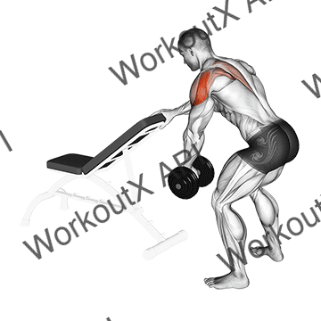 Dumbbell One Arm Reverse Fly (with Support) animated GIF