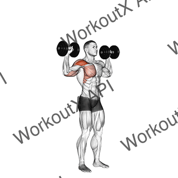 Dumbbell One Arm Shoulder Press animated GIF